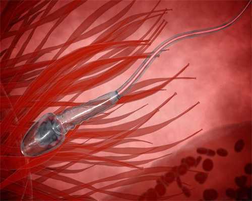 探索三代试管婴儿：深度解析流程、成功率与费用，助您圆生育梦想