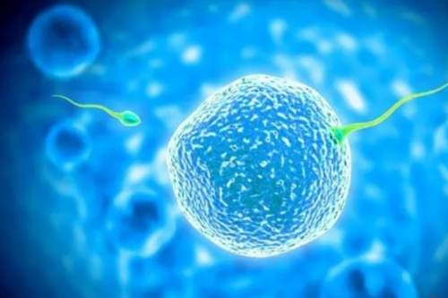 三代试管助孕：辅助生殖医院选择与成功策略