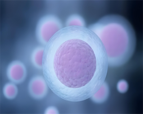 优选辅助生殖机构：试管婴儿与代孕服务指南，成功助孕家庭的共同选择