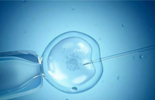 试管助孕与供卵代怀：专业机构排行榜及生育指南