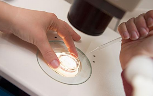 助孕价格咨询：深圳试管婴儿成功率医院排名，第一试管医院竟然是他！，深圳做试管婴儿成功率排名最高的医院是哪家