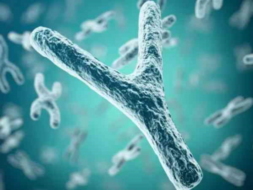 专业辅助生殖机构选择指南：实现生育梦想的优选之路