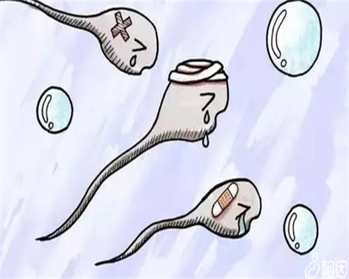 深圳三代试管助孕：私立机构能否做性别选择？供卵代怀服务解析