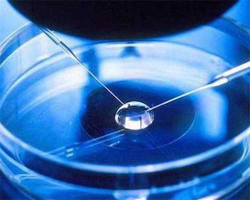 深圳试管婴儿费用明细：供卵供精、代生服务与助孕机构收费全览