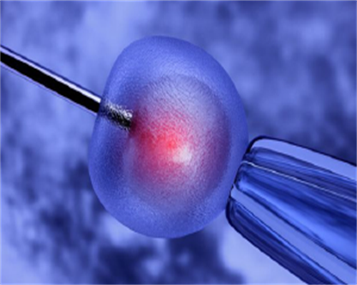 公立医院试管婴儿：大龄助孕的权威选择与成功策略