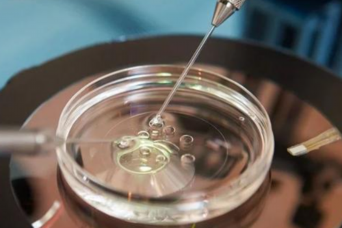 试管助孕指南：辅助生殖医院、代生代怀与生育方案解析