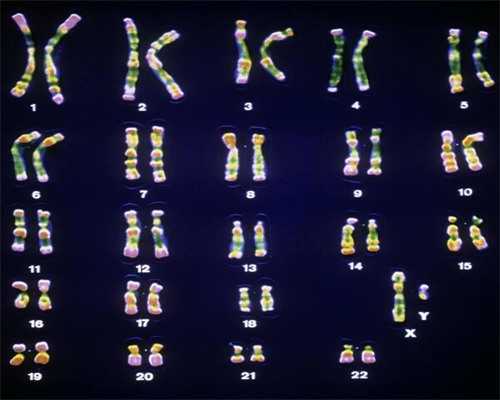 第三代试管婴儿费用解析：技术优势、供卵代怀与成功率探秘