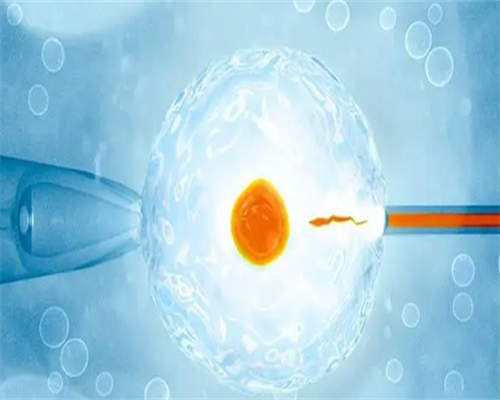试管助孕全解析：辅助生殖条件、供卵代怀费用与医院选择