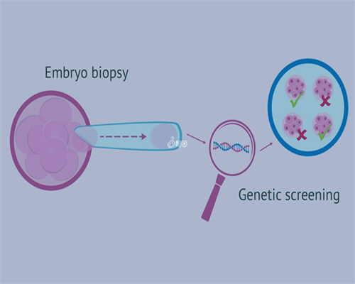 第三代试管助孕费用深度解析：揭秘各环节明细与影响因素
