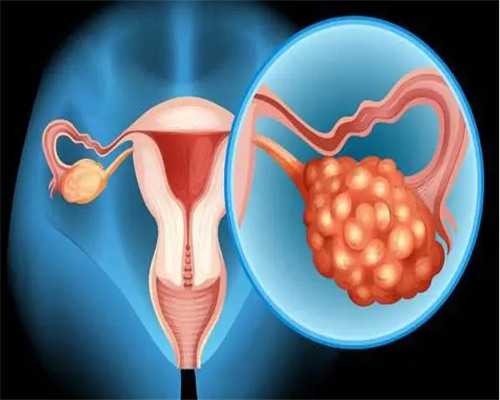 辅助生殖成功率探秘：试管婴儿医院选择与助孕关键