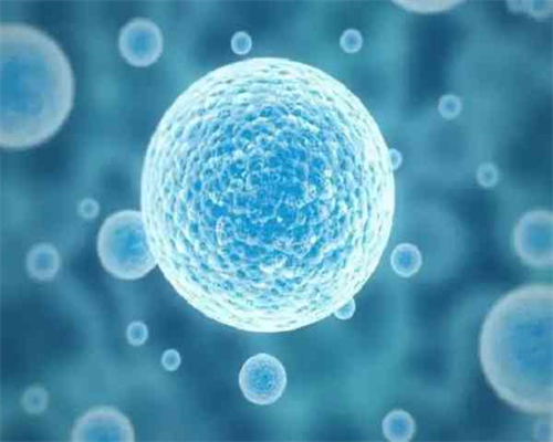 深圳代生助孕,深圳有试管成功的医院吗_深圳哪里有试管婴儿！