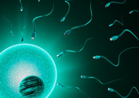 深圳找人代怀生男孩,始基子宫在深圳做试管成功率高吗！始基子宫试管婴儿条件！